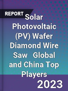 Solar Photovoltaic Wafer Diamond Wire Saw Global and China Top Players Market