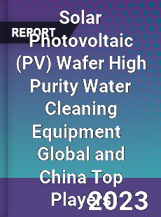 Solar Photovoltaic Wafer High Purity Water Cleaning Equipment Global and China Top Players Market