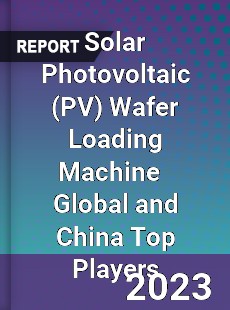 Solar Photovoltaic Wafer Loading Machine Global and China Top Players Market