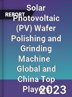 Solar Photovoltaic Wafer Polishing and Grinding Machine Global and China Top Players Market