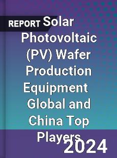 Solar Photovoltaic Wafer Production Equipment Global and China Top Players Market