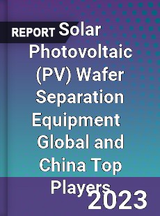 Solar Photovoltaic Wafer Separation Equipment Global and China Top Players Market