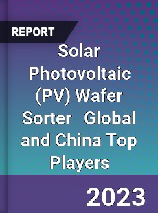 Solar Photovoltaic Wafer Sorter Global and China Top Players Market