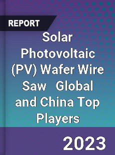 Solar Photovoltaic Wafer Wire Saw Global and China Top Players Market