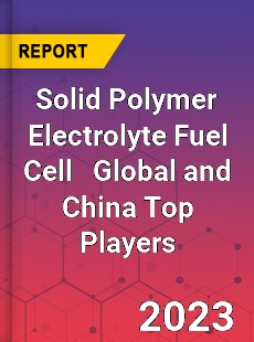 Solid Polymer Electrolyte Fuel Cell Global and China Top Players Market