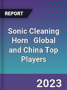 Sonic Cleaning Horn Global and China Top Players Market