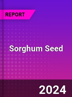 Sorghum Seed Market