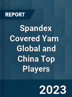 Spandex Covered Yarn Global and China Top Players Market