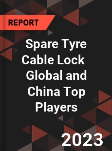 Spare Tyre Cable Lock Global and China Top Players Market