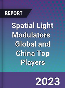 Spatial Light Modulators Global and China Top Players Market