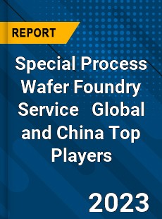 Special Process Wafer Foundry Service Global and China Top Players Market