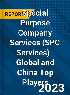 Special Purpose Company Services Global and China Top Players Market