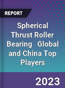 Spherical Thrust Roller Bearing Global and China Top Players Market