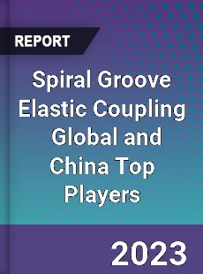 Spiral Groove Elastic Coupling Global and China Top Players Market