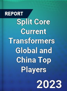 Split Core Current Transformers Global and China Top Players Market