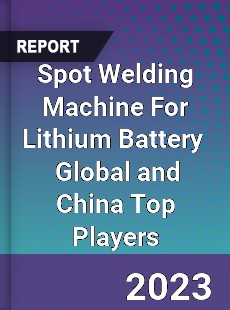 Spot Welding Machine For Lithium Battery Global and China Top Players Market