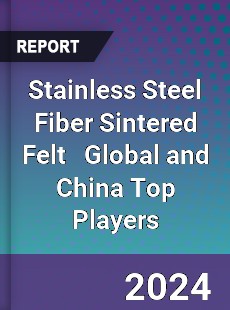 Stainless Steel Fiber Sintered Felt Global and China Top Players Market