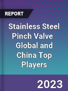 Stainless Steel Pinch Valve Global and China Top Players Market