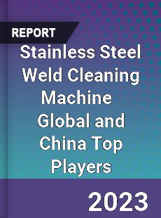 Stainless Steel Weld Cleaning Machine Global and China Top Players Market