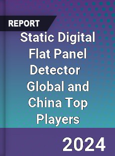 Static Digital Flat Panel Detector Global and China Top Players Market