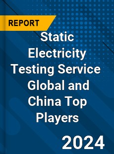 Static Electricity Testing Service Global and China Top Players Market