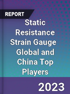 Static Resistance Strain Gauge Global and China Top Players Market