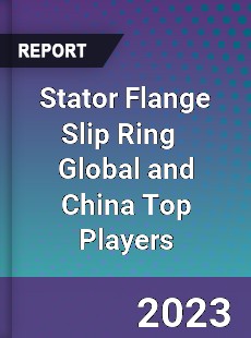 Stator Flange Slip Ring Global and China Top Players Market