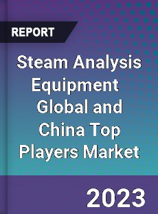 Steam Analysis Equipment Global and China Top Players Market