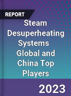 Steam Desuperheating Systems Global and China Top Players Market