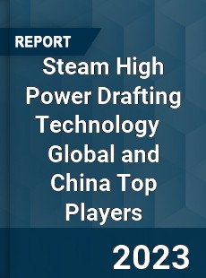 Steam High Power Drafting Technology Global and China Top Players Market