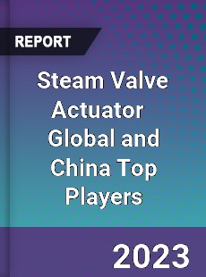 Steam Valve Actuator Global and China Top Players Market