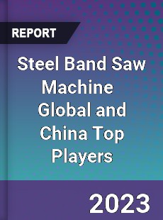 Steel Band Saw Machine Global and China Top Players Market