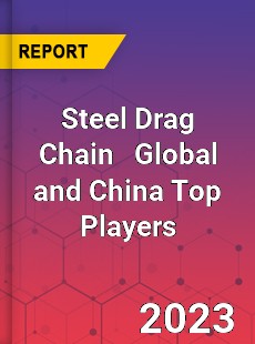 Steel Drag Chain Global and China Top Players Market