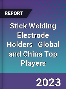 Stick Welding Electrode Holders Global and China Top Players Market