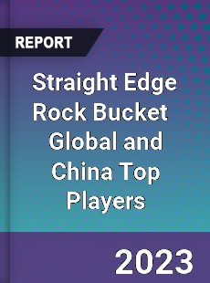 Straight Edge Rock Bucket Global and China Top Players Market