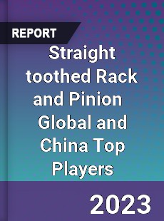 Straight toothed Rack and Pinion Global and China Top Players Market