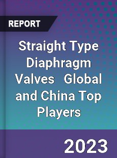 Straight Type Diaphragm Valves Global and China Top Players Market