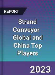 Strand Conveyor Global and China Top Players Market