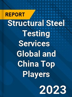 Structural Steel Testing Services Global and China Top Players Market