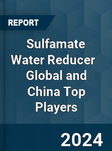 Sulfamate Water Reducer Global and China Top Players Market