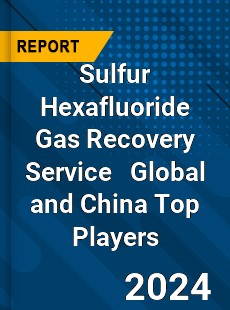 Sulfur Hexafluoride Gas Recovery Service Global and China Top Players Market