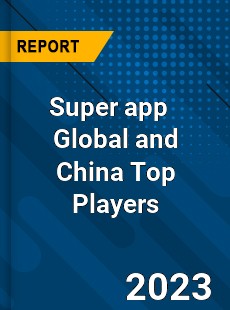 Super app Global and China Top Players Market