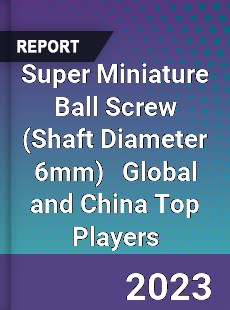 Super Miniature Ball Screw Global and China Top Players Market