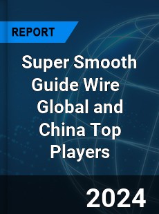 Super Smooth Guide Wire Global and China Top Players Market