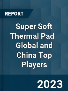 Super Soft Thermal Pad Global and China Top Players Market