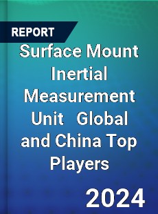 Surface Mount Inertial Measurement Unit Global and China Top Players Market