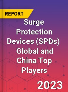 Surge Protection Devices Global and China Top Players Market