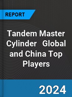 Tandem Master Cylinder Global and China Top Players Market