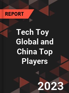 Tech Toy Global and China Top Players Market