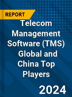 Telecom Management Software Global and China Top Players Market